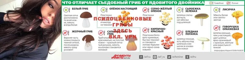 Псилоцибиновые грибы ЛСД  мега ссылки  Зуевка 